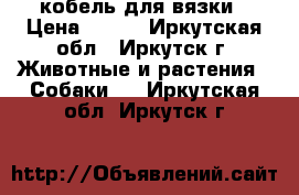 кобель для вязки › Цена ­ ... - Иркутская обл., Иркутск г. Животные и растения » Собаки   . Иркутская обл.,Иркутск г.